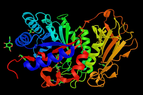 heparinase enzyme 500x334
